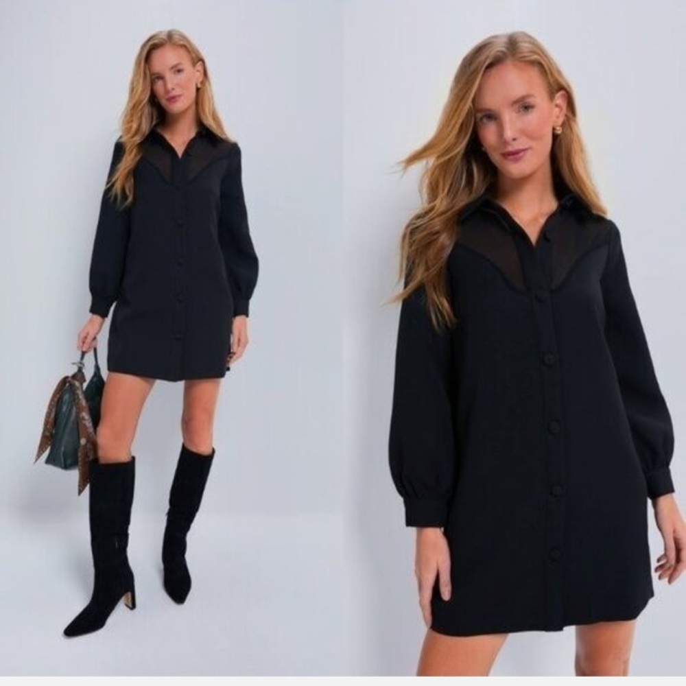 Tuckernuck Black Etta Mesh Collared Long Sleeve Mini Dress